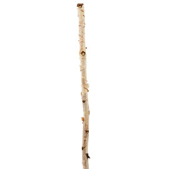 8 Pack: Natural River Birch Branch by Ashland&#xAE;
